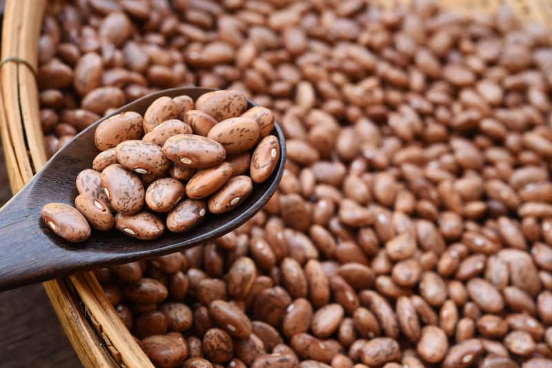 قیمت لوبیا چیتی فامیلا + خرید باور نکردنی